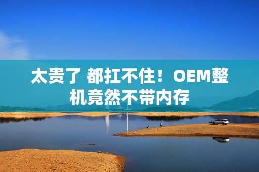 太贵了 都扛不住！OEM整机竟然不带内存