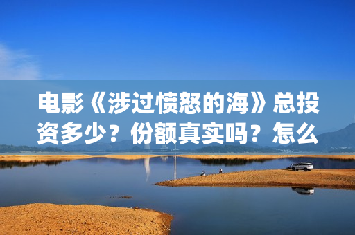 电影《涉过愤怒的海》总投资多少？份额真实吗？怎么参与投资？成本多(电影《涉过愤怒的海》免费观看)