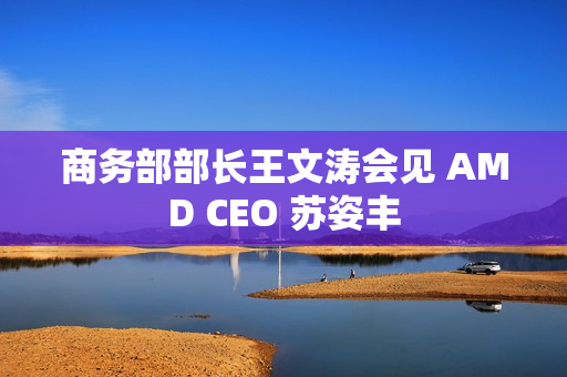 商务部部长王文涛会见 AMD CEO 苏姿丰
