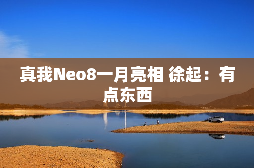 真我Neo8一月亮相 徐起：有点东西