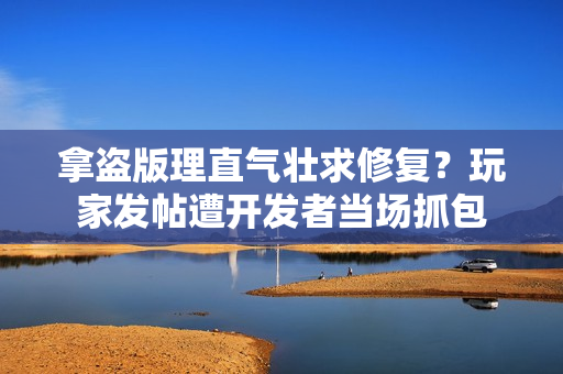 拿盗版理直气壮求修复?玩家发帖遭开发者当场抓包 拿盗版理直气壮求修复?玩家发帖遭开发者当场抓包