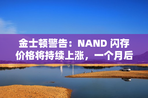 金士顿警告：NAND 闪存价格将持续上涨，一个月后更贵