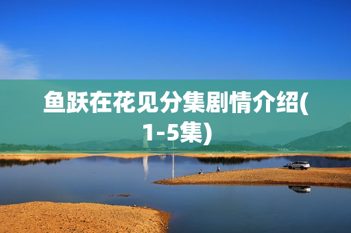 鱼跃在花见分集剧情介绍(1-5集) 鱼跃在花见分集剧情介绍(1-5集)