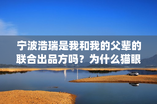 宁波浩瑞是我和我的父辈的联合出品方吗？为什么猫眼上没有？(宁波浩瑞气动)