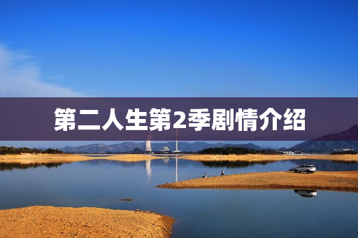 第二人生第2季剧情介绍