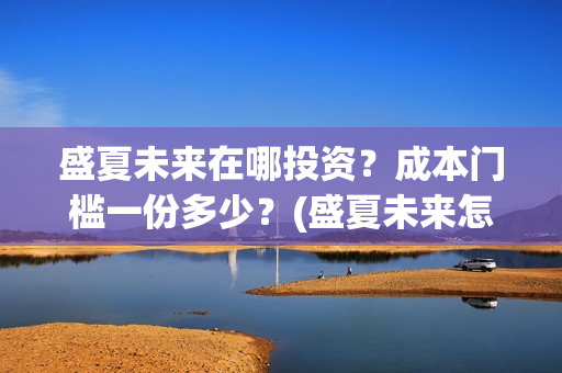 盛夏未来在哪投资？成本门槛一份多少？(盛夏未来怎么提前上映了)