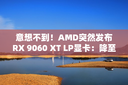 意想不到！AMD突然发布RX 9060 XT LP显卡：降至140W功耗