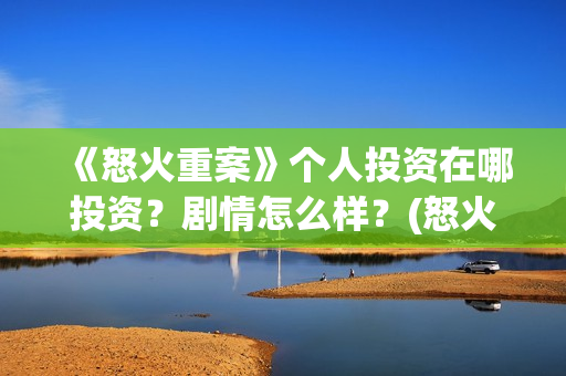 《怒火重案》个人投资在哪投资？剧情怎么样？(怒火重案太燃了)