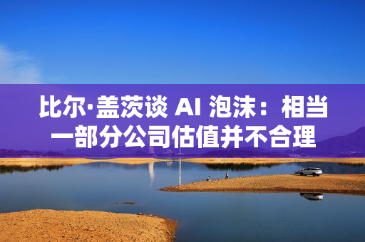 比尔·盖茨谈 AI 泡沫：相当一部分公司估值并不合理