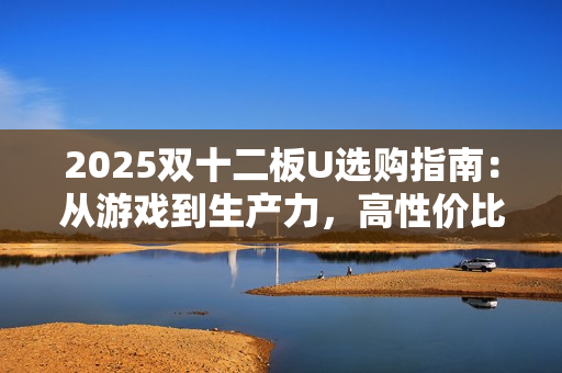 2025双十二板U选购指南：从游戏到生产力，高性价比搭配全解析！