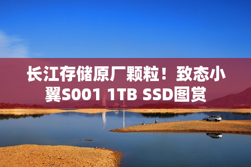 长江存储原厂颗粒！致态小翼S001 1TB SSD图赏
