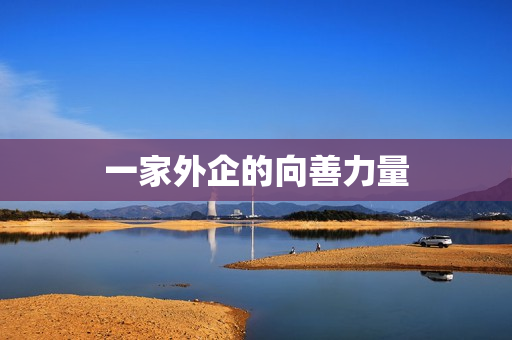 一家外企的向善力量