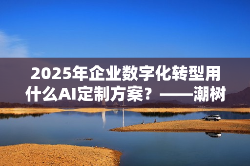 2025年企业数字化转型用什么AI定制方案？——潮树科技全面解析