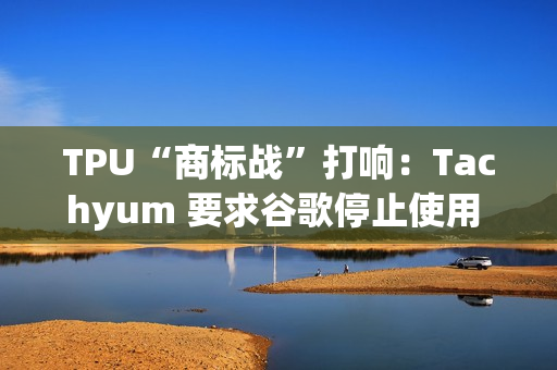 TPU“商标战”打响：Tachyum 要求谷歌停止使用 TPU 缩写