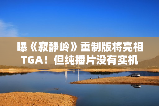 曝《寂静岭》重制版将亮相TGA！但纯播片没有实机
