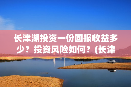 长津湖投资一份回报收益多少？投资风险如何？(长津湖最大投资方)