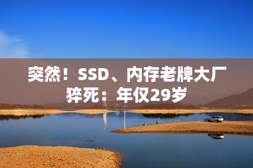 突然！SSD、内存老牌大厂猝死：年仅29岁
