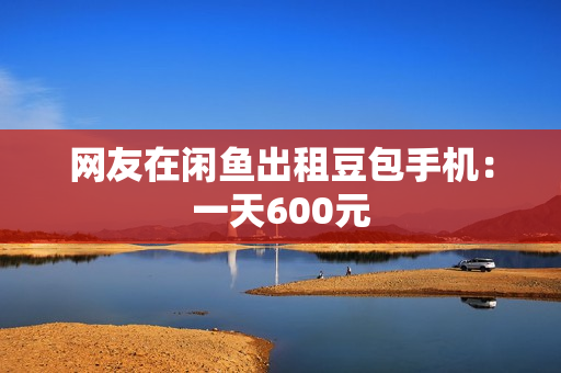 网友在闲鱼出租豆包手机：一天600元