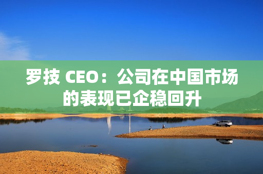 罗技 CEO：公司在中国市场的表现已企稳回升