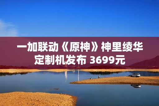 一加联动《原神》神里绫华定制机发布 3699元 一加联动《原神》神里绫华定制机发布 3699元