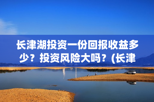 长津湖投资一份回报收益多少？投资风险大吗？(长津湖最大投资方)