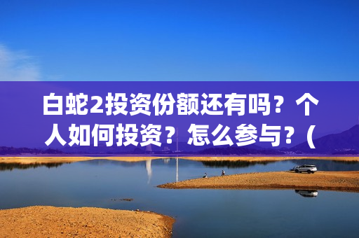 白蛇2投资份额还有吗？个人如何投资？怎么参与？(白蛇2亏本了吗)