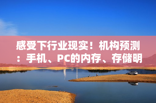 感受下行业现实！机构预测：手机、PC的内存、存储明年Q1至少涨幅30%！