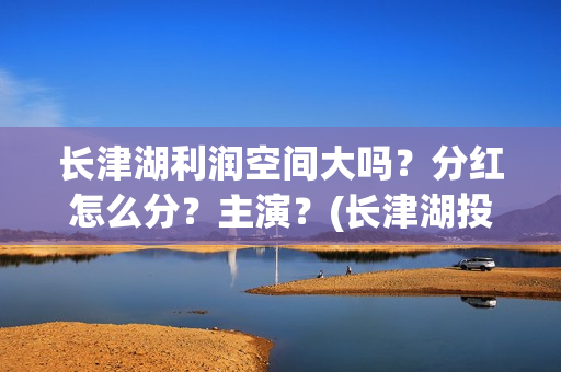 长津湖利润空间大吗？分红怎么分？主演？(长津湖投资收益有多少)