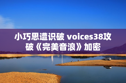 小巧思遭识破 voices38攻破《完美音浪》加密