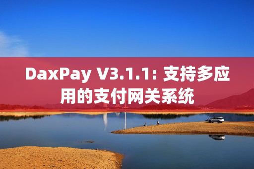 DaxPay V3.1.1: 支持多应用的支付网关系统