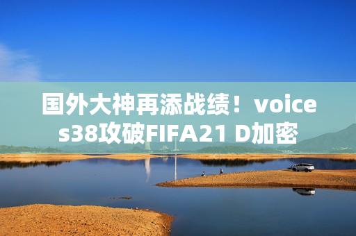 国外大神再添战绩！voices38攻破FIFA21 D加密