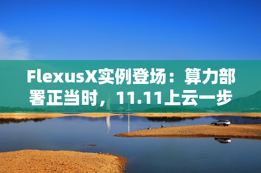 FlexusX实例登场：算力部署正当时，11.11上云一步到位
