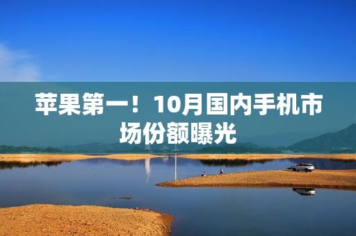 苹果第一！10月国内手机市场份额曝光