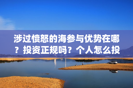 涉过愤怒的海参与优势在哪？投资正规吗？个人怎么投资？(涉过愤怒的海参演的日本演员)