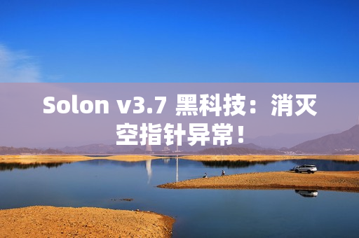 Solon v3.7 黑科技：消灭空指针异常！