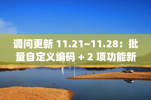 调问更新 11.21~11.28：批量自定义编码 + 2 项功能新增 + 4 项功能优化 + 7 项 BugFix