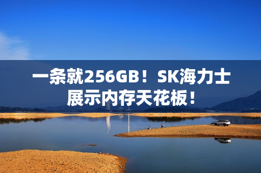一条就256GB！SK海力士展示内存天花板！