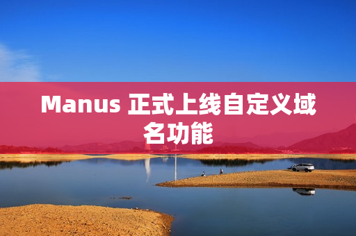 Manus 正式上线自定义域名功能