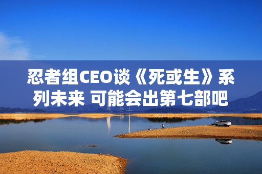 忍者组CEO谈《死或生》系列未来 可能会出第七部吧