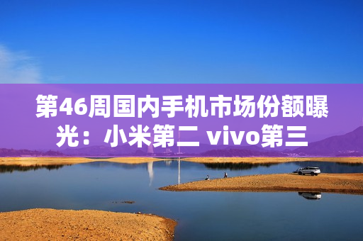 第46周国内手机市场份额曝光：小米第二 vivo第三