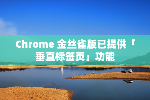 Chrome 金丝雀版已提供「垂直标签页」功能