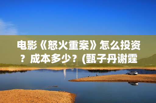 电影《怒火重案》怎么投资？成本多少？(甄子丹谢霆锋电影怒火重案)