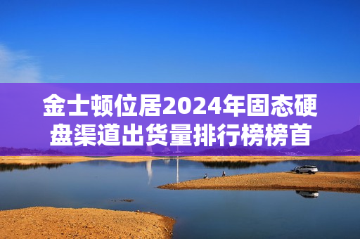 金士顿位居2024年固态硬盘渠道出货量排行榜榜首