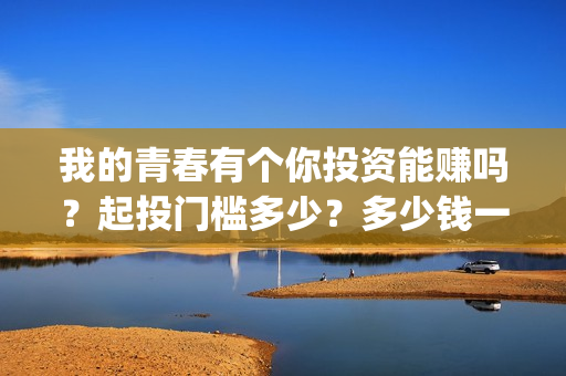 我的青春有个你投资能赚吗？起投门槛多少？多少钱一份？(我的青春有个你结局)
