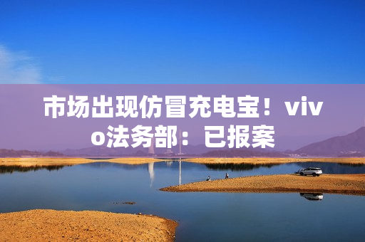 市场出现仿冒充电宝！vivo法务部：已报案