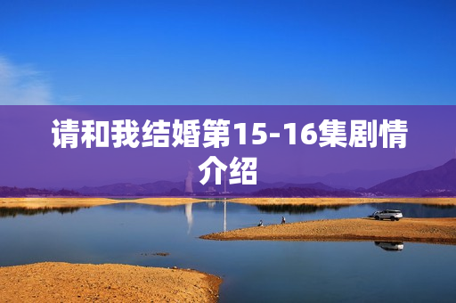 请和我结婚第15-16集剧情介绍 请和我结婚第15-16集剧情介绍