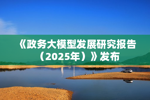 《政务大模型发展研究报告（2025年）》发布