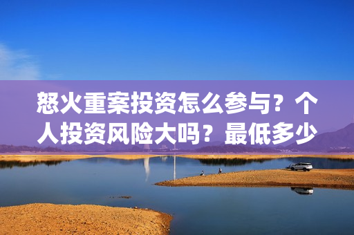 怒火重案投资怎么参与？个人投资风险大吗？最低多少起投？(怒火重案投了多少钱)