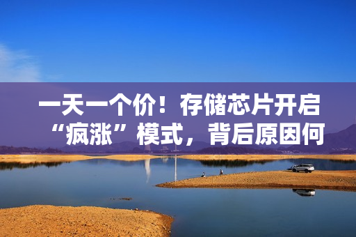 一天一个价！存储芯片开启“疯涨”模式，背后原因何在？