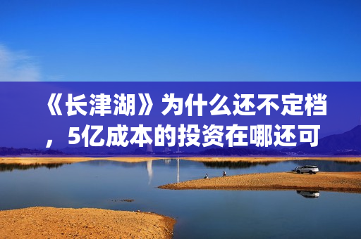 《长津湖》为什么还不定档，5亿成本的投资在哪还可以投资？(长津湖为什么没有朝鲜士兵)